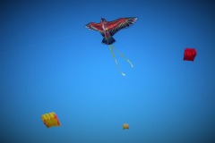 310515301_10222726562814037_6871776512440738089_n