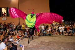 Alto-Livello_Terzostudio-Circo-Improvviso