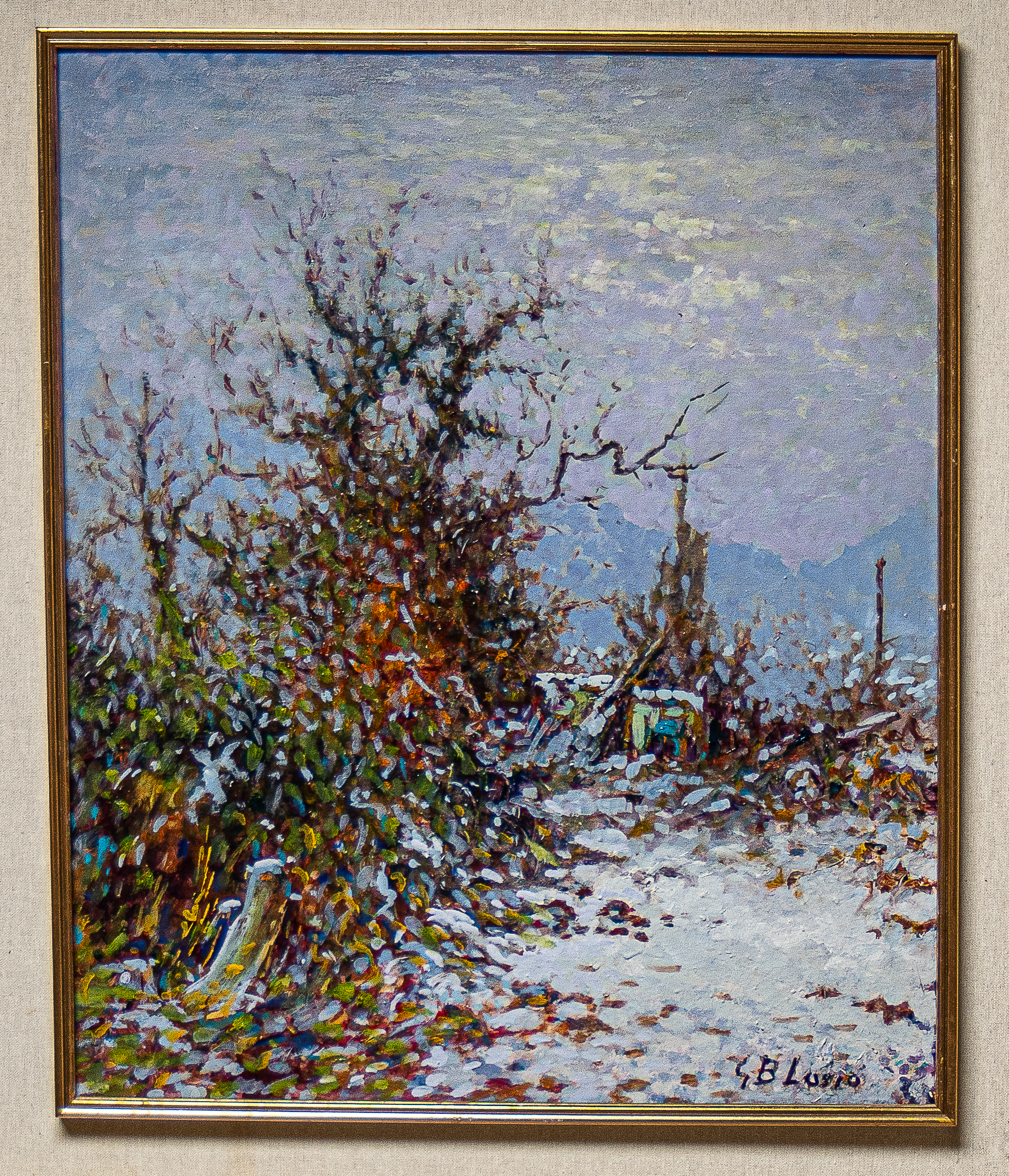 IMGP0123