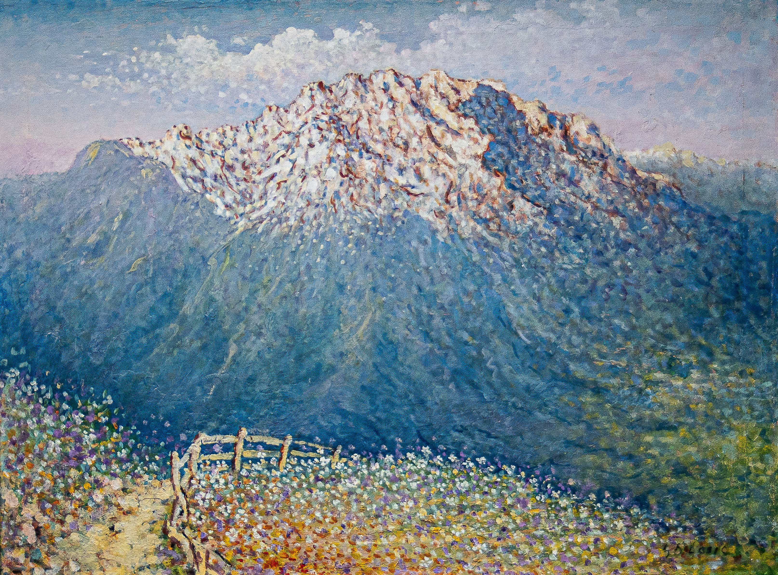 IMGP0142