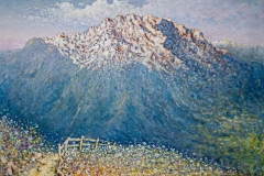 IMGP0142