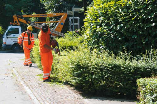 Riqualificazione del verde pubblico a Rezzato