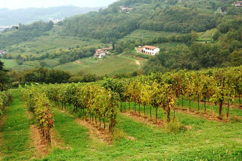 7-8 aprile | eccellenze del territorio in mostra per la XIII edizione della festa della Proloco