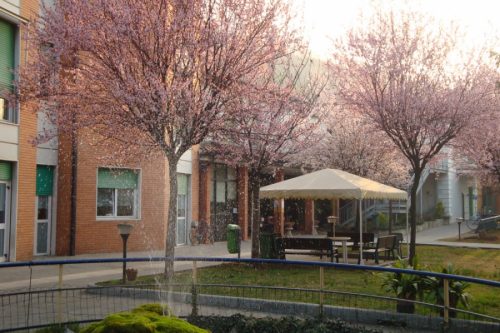 Rsa Almici e Residenza Anni Azzurri di Rezzato hanno ottenuto i Bollini Rosa Onda
