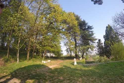 15 Aprile | Giornata del verde pulito