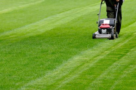 Rezzato: il verde privato diventa fonte di risparmio