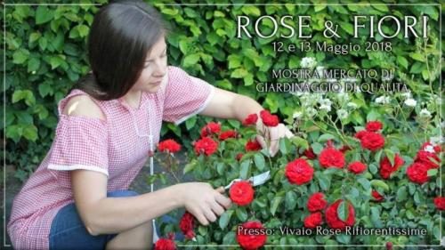 12-13 Maggio | “Rose e fiori- mostra mercato a edizione Ciliverghe”