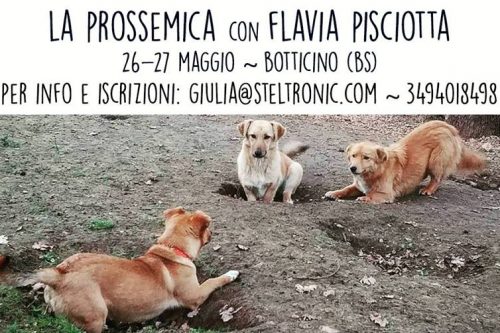 26/27 Maggio | Il Seminario di prossemica dedicato agli amici a quattro zampe