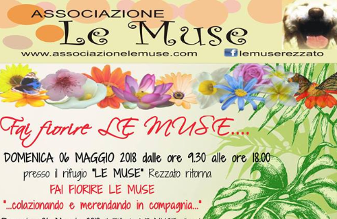6 Maggio | “Fai fiorire Le Muse”
