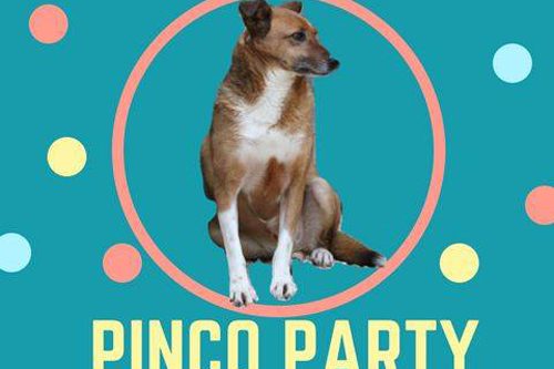 14 Giugno | Aperitivo di beneficenza per Pinco, amico a quattro zampe