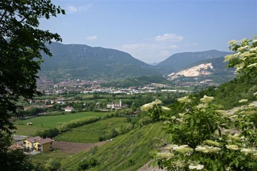 Botticino: torna “Tra poesia e storia”, la camminata tra i sentieri di San Gallo Botticino: torna “Tra poesia e storia”, la camminata tra i sentieri di San Gallo