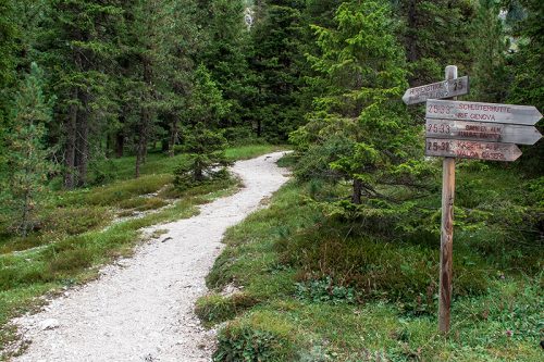 9 Settembre | Camminata Didattica al sentiero del Carso Bresciano