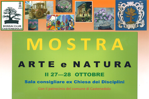 “Arte e Natura”, a Castenedolo la mostra tra modellismo, bonsai e pittura