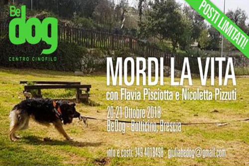OGGI | “Mordi la Vita”, due giornate dedicate agli amici a 4 zampe OGGI | “Mordi la Vita”, due giornate dedicate agli amici a 4 zampe