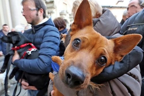20 Gennaio | Benedizione degli animali e Spiedo d’asporto all’Oratorio di Mazzano