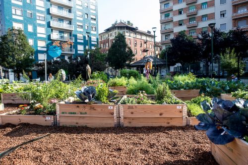 Orti urbani a Rezzato: bando per 20 lotti Orti urbani a Rezzato: bando per 20 lotti