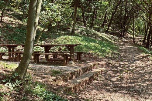 “Quattro passi sui Cinque sentieri”: camminate tra natura e storia a Rezzato e Virle