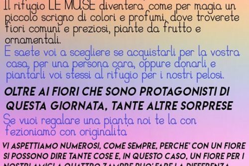 “Aiutali con un fiore”, presso le Muse a Rezzato “Aiutali con un fiore”, presso le Muse a Rezzato