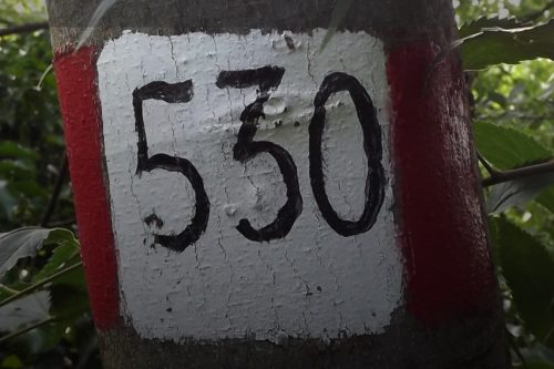 66 km (e mezzo) per il sentiero naturalistico numero 530