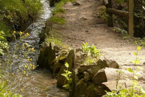 66 km (e mezzo) per il sentiero naturalistico numero 530