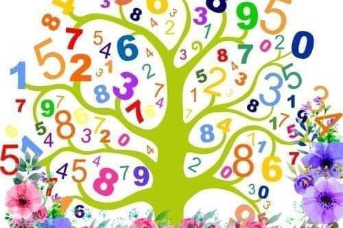 A Scuola Con I Fiori E Numeri A Scuola Con I Fiori E Numeri
