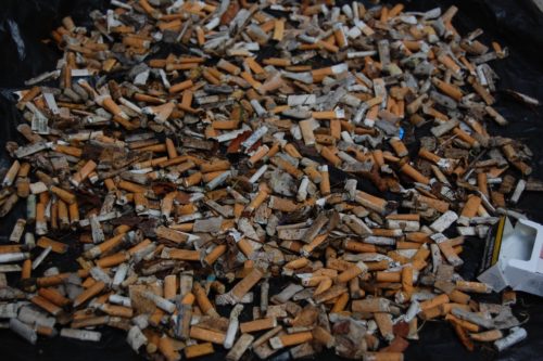 Rezzato Raccoglie con Coraggio la Sfida di Striscia la Notizia: Basta Mozziconi a Terra