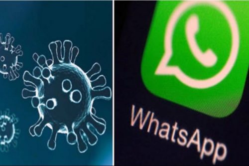 IL COVID: dalla diffusione del virus alla diffusione delle bufale