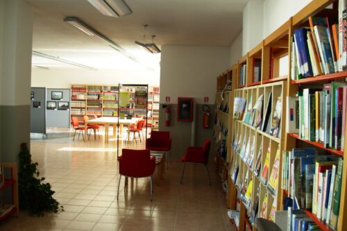 Biblioteca comunale: nuovi orari e nuove regole a Rezzato Biblioteca comunale: nuovi orari e nuove regole a Rezzato