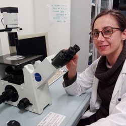 Legame tra ferro e tumore alla prostata. È l’oggetto di studio di Federica, ricercatrice di Mazzano.