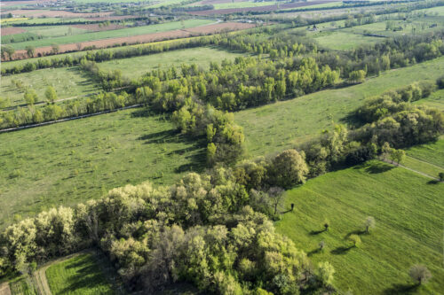 Quarry Life Award: il premio promossa da Italcementi per la biodiversità nei siti estrattivi Quarry Life Award: il premio promossa da Italcementi per la biodiversità nei siti estrattivi