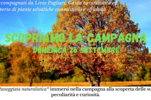 Passeggiata alla scoperta del nostro territorio Passeggiata alla scoperta del nostro territorio
