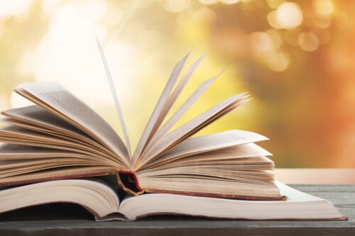 VERSI… SCOLPITI NEL MARMO 2022 PREMIO DI POESIA NELLE LINGUE BRESCIANA E ITALIANA VERSI… SCOLPITI NEL MARMO 2022 PREMIO DI POESIA NELLE LINGUE BRESCIANA E ITALIANA