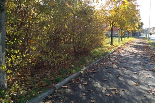 Sono partiti i lavori per il rinnovamento del verde in via De Gasperi a Mazzano