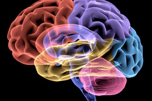 QUANDO IL NOSTRO DIALOGO INTERNO CONTIENE DISTORSIONI COGNITIVE: GLI ERRORI PIÙ TIPICI E INCONSAPEVOLI