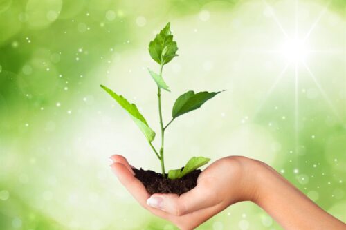 Polmone verde a Mazzano: il nuovo progetto