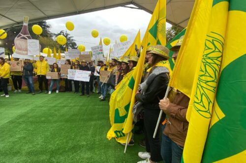 Scuola di Mazzano al Villaggio Contadino Coldiretti a Milano