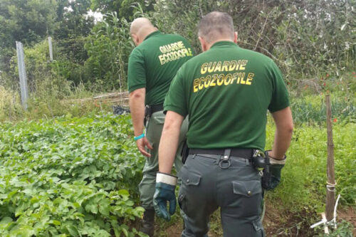 Guardie Ecozoofile: si è svolto a Rezzato l’incontro per i volontari con gli animali nel cuore