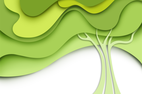 Il comune di Rezzato attento al Green: non solo censimento degli alberi del territorio