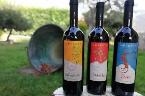 Scorci d’Arte e di Natura: alla scoperta del territorio e del vino Botticino Scorci d’Arte e di Natura: alla scoperta del territorio e del vino Botticino