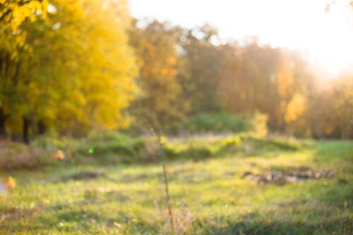 Rezzato green ed inclusiva: nuovo parco con finanziamento regionale