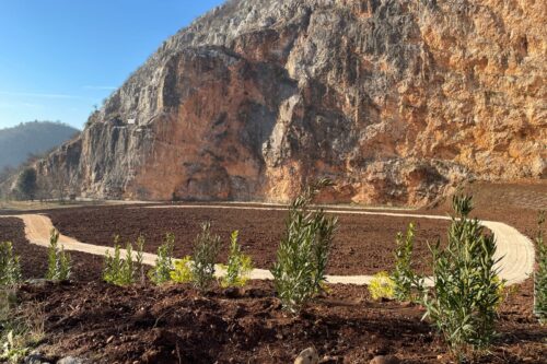 Il risveglio verde dell’ex cava Corna Rossa: un nuovo polmone verde per Rezzato Il risveglio verde dell’ex cava Corna Rossa: un nuovo polmone verde per Rezzato