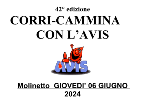 Nuovo traguardo per la solidarietà: 42ª edizione della corsa AVIS a Molinetto