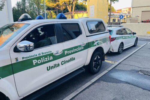 Polizia locale di Rezzato ha intensificato i controlli antiveleno nelle aree verdi con l’ausilio dell’unità cinofila