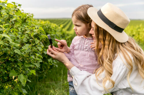 Giornata di vendemmia diventa tradizione formativa a Botticino