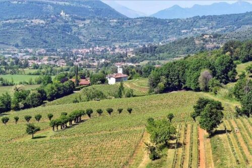 Si rinforza la rete per Rodengo Saiano: nuove adesioni al Parco delle Colline